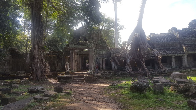 Temple with Tree